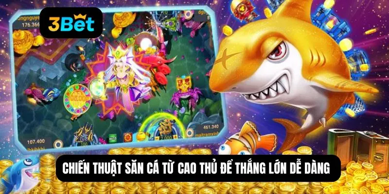 Chiến thuật săn cá từ cao thủ để thắng lớn dễ dàng