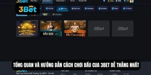 cách chơi bầu cua