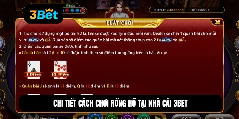 cách chơi rồng hổ