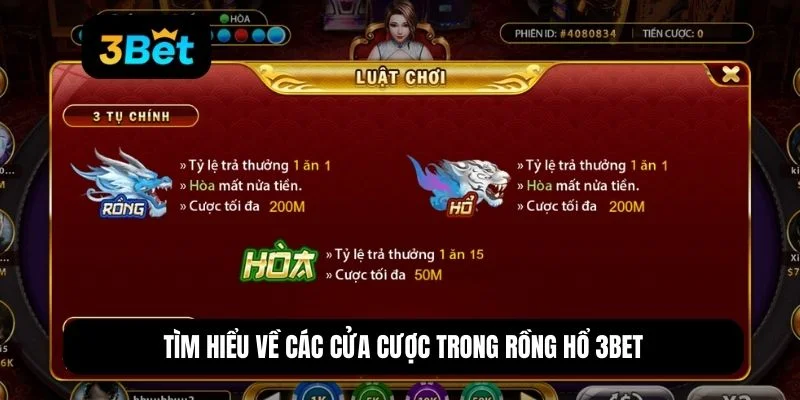 cách chơi rồng hổ