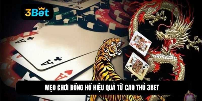 cách chơi rồng hổ