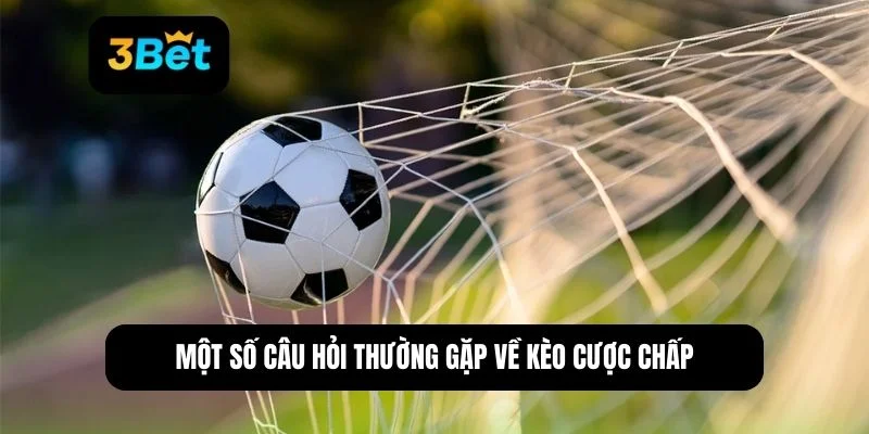 Cược chấp là gì